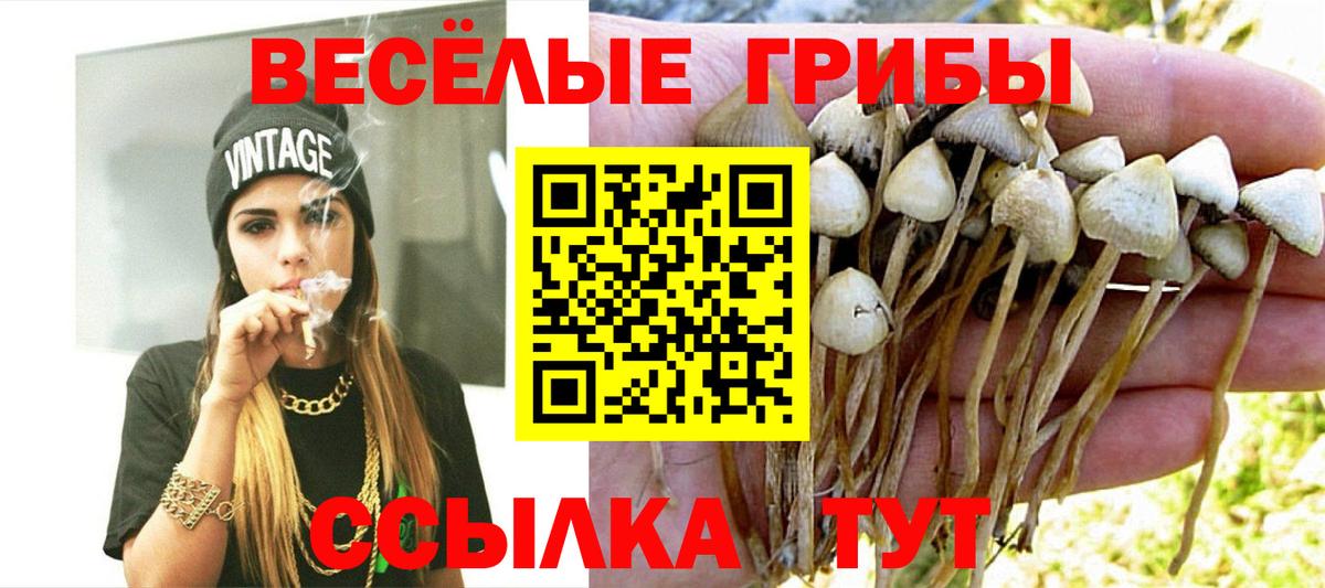 Галлюциногенные грибы MAGIC MUSHROOMS Будённовск