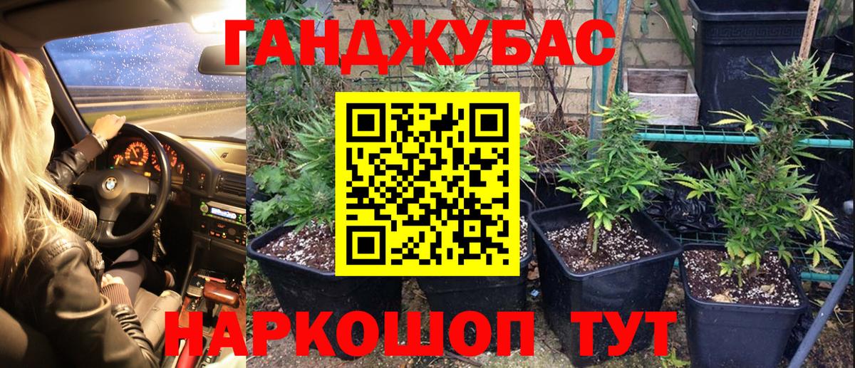 Конопля индика Будённовск